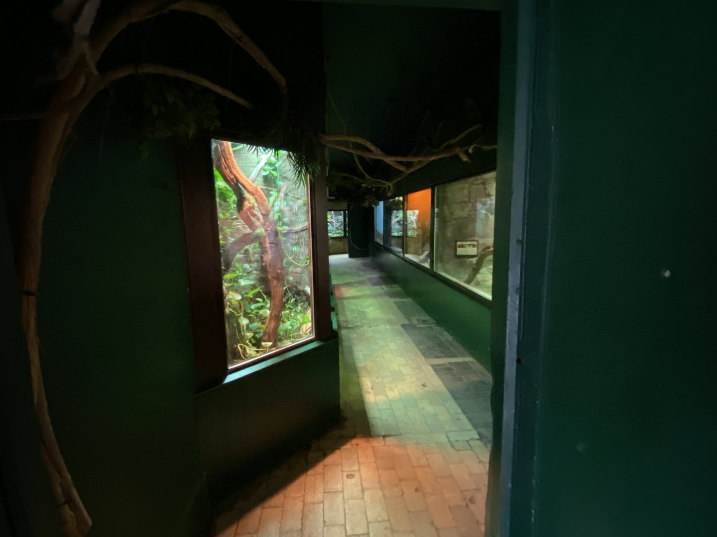 Reptile House 280222