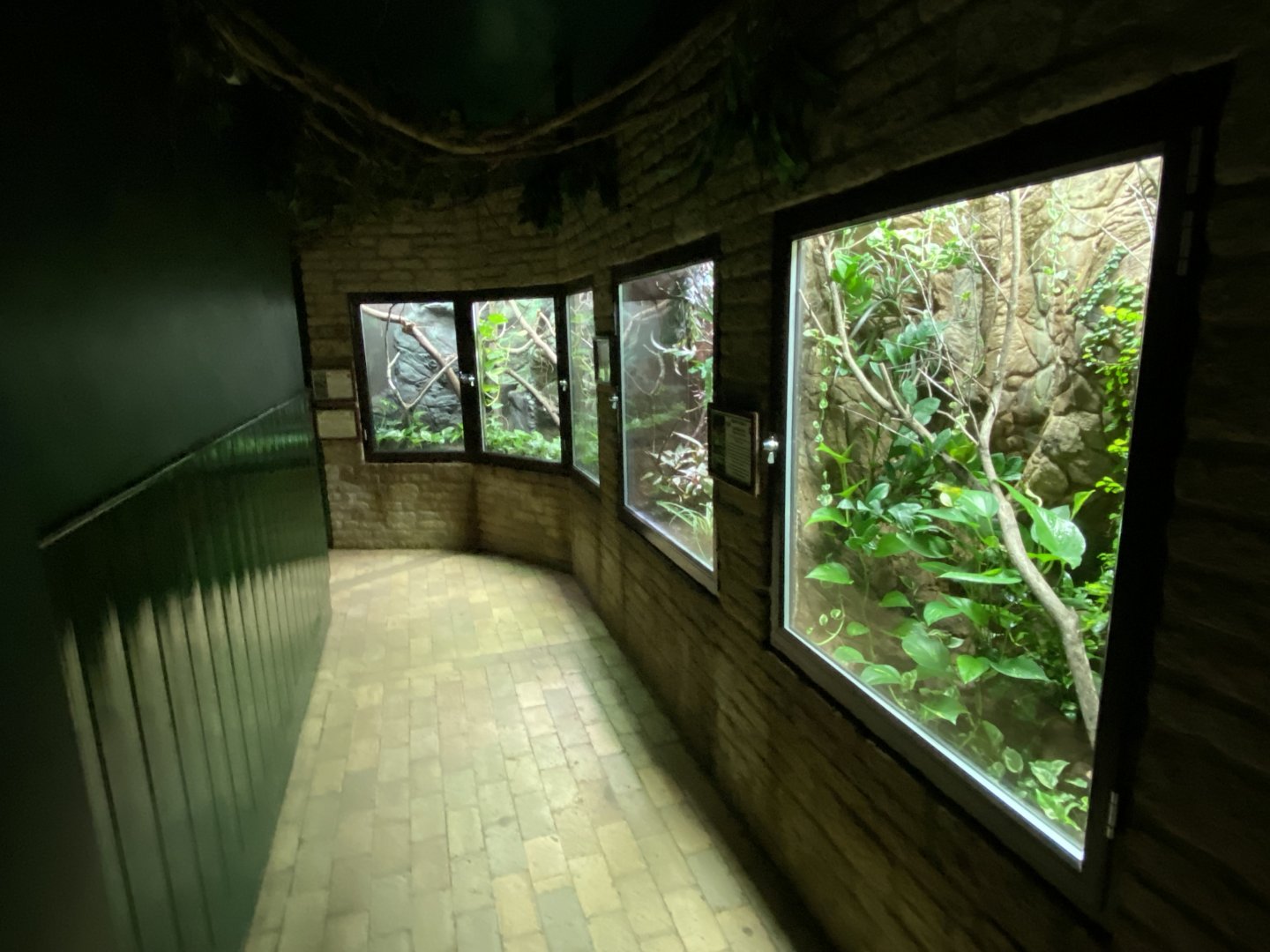 Reptile House 280222