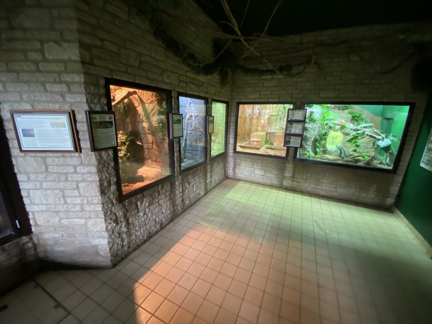 Reptile House 280222