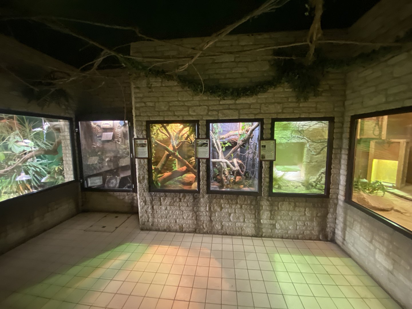 Reptile House 280423