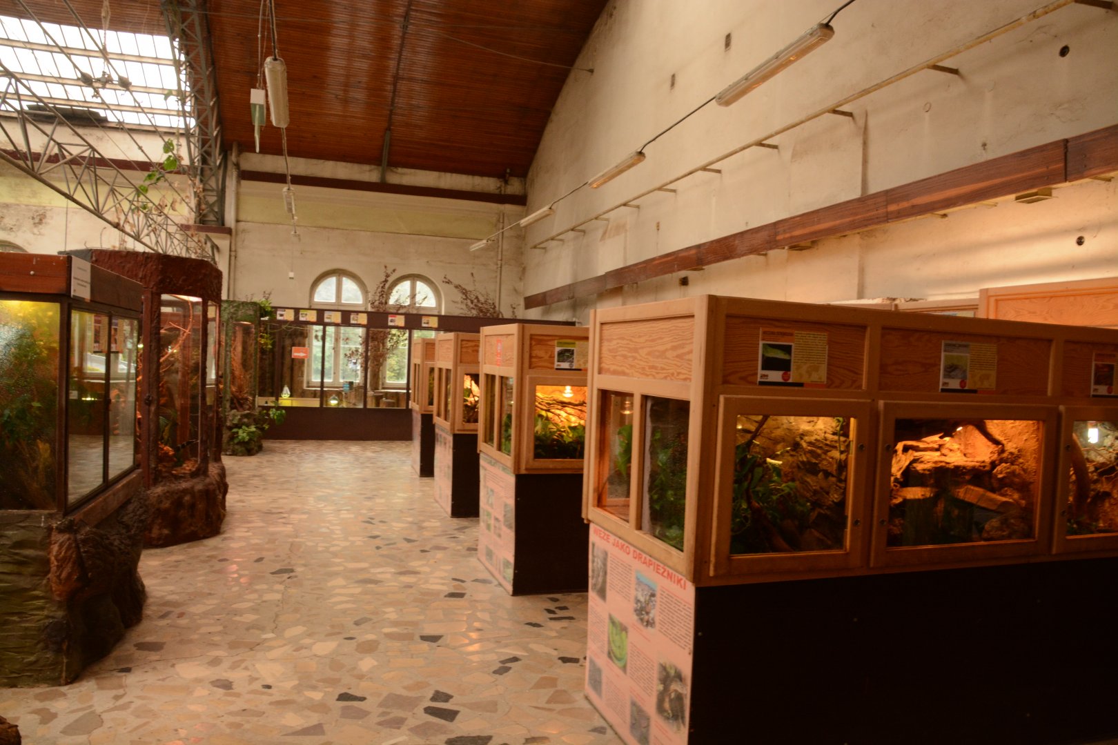 Reptile house - 2nd balcony