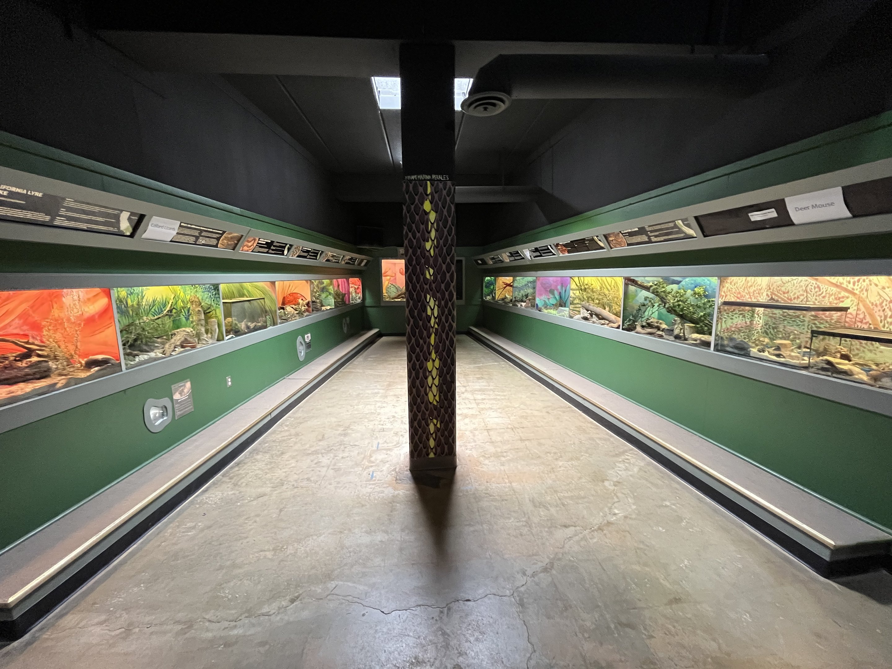 Reptile House - 2nd Hallway