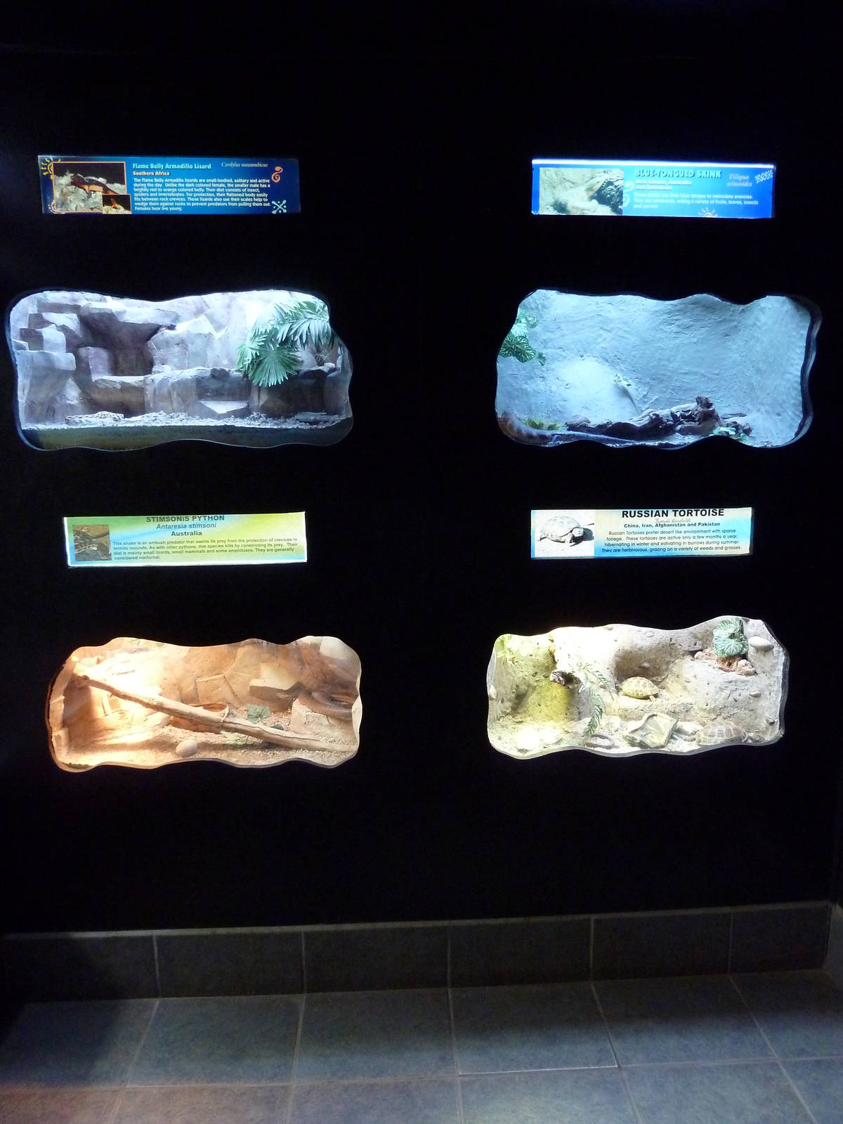 Reptile House - 4 Exhibits