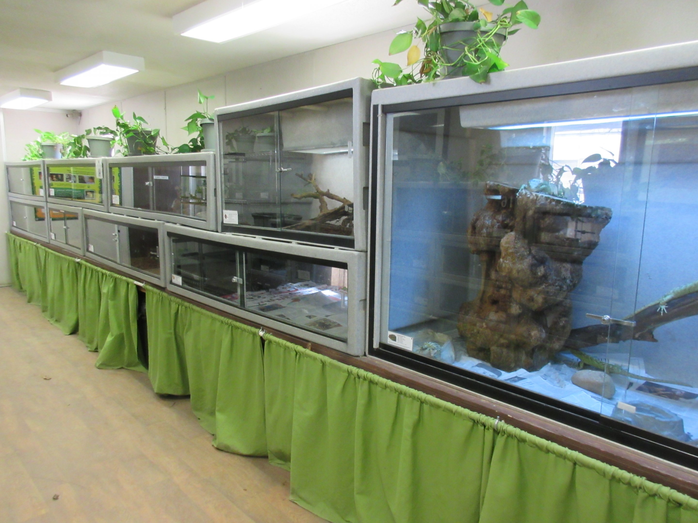 Reptile House (50% of it)