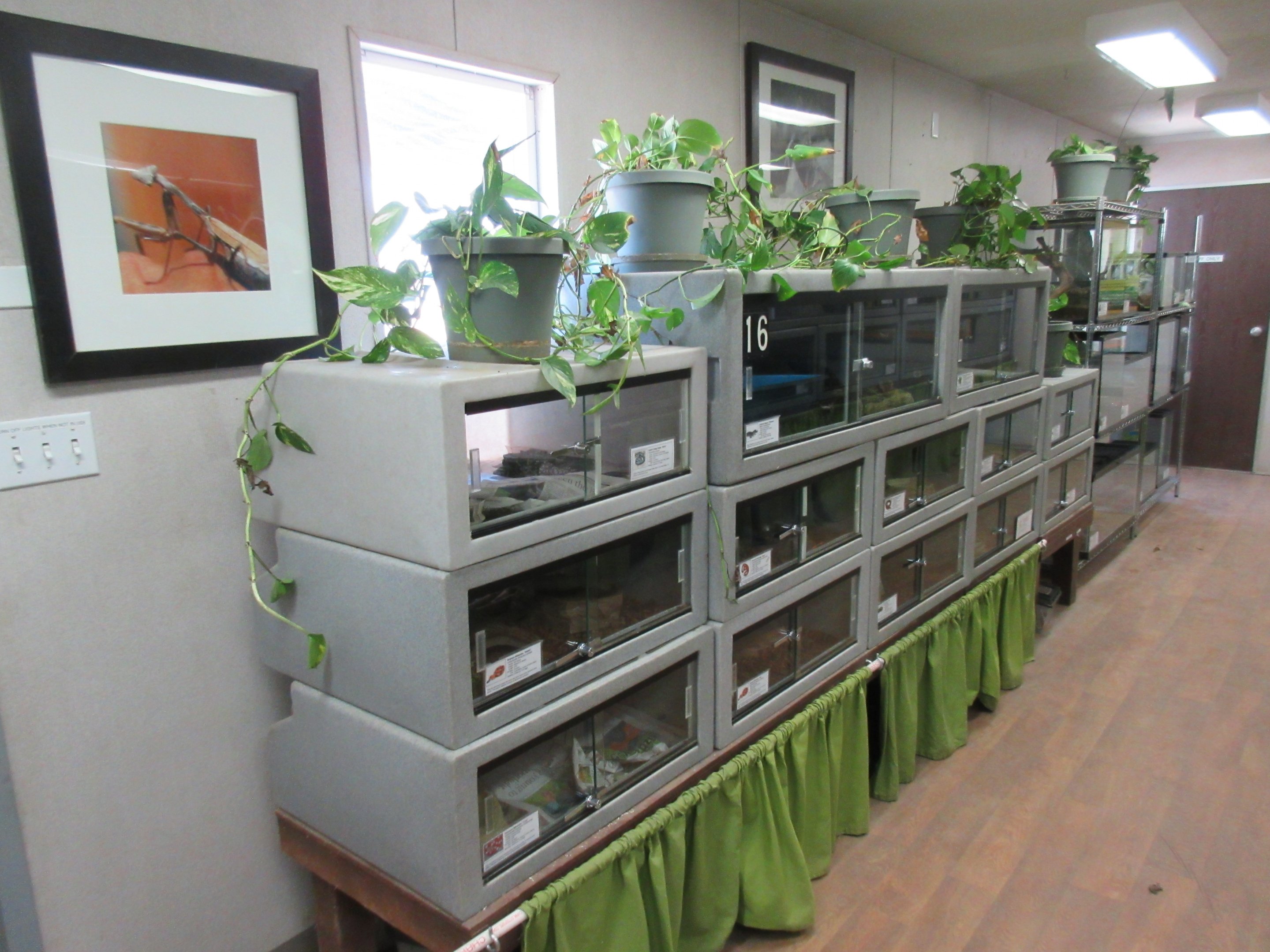 Reptile House (50% of it)