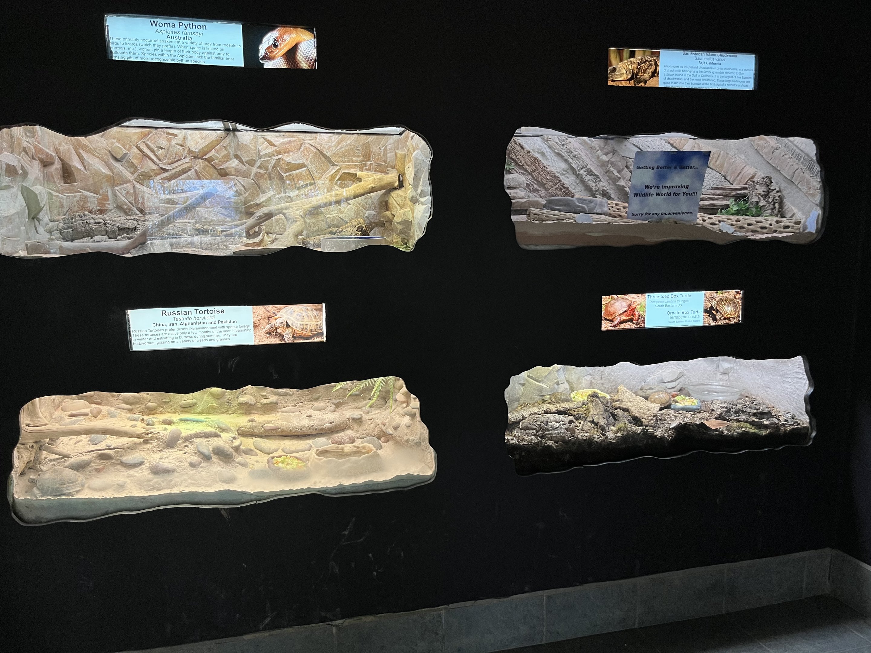 Reptile House - 53 exhibits