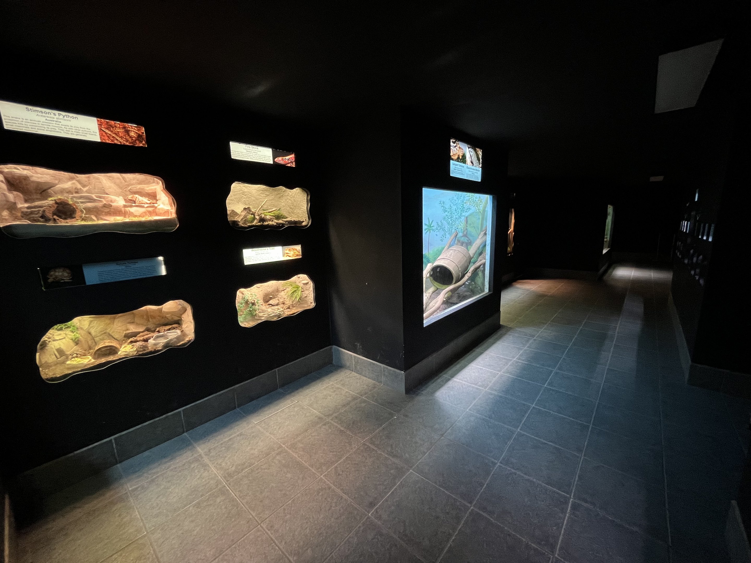 Reptile House - 53 exhibits