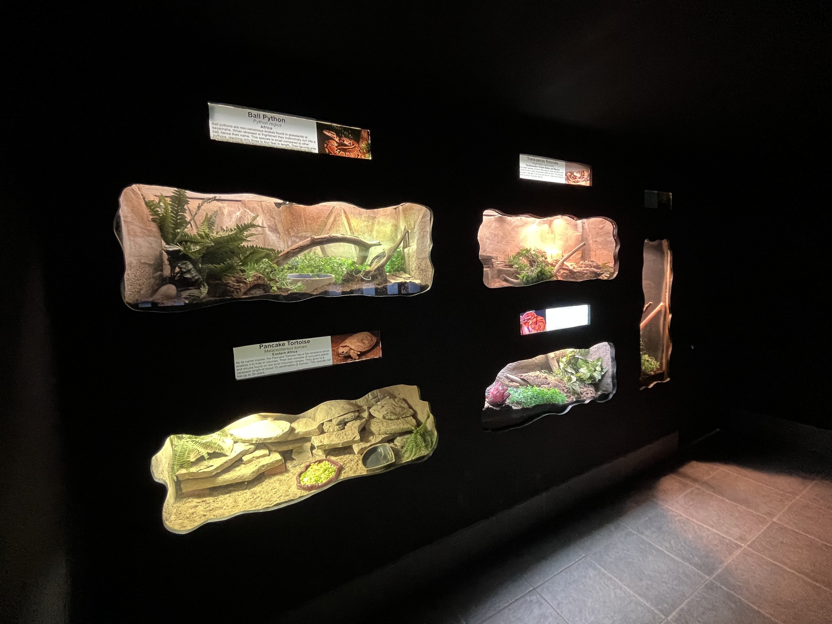 Reptile House - 53 exhibits