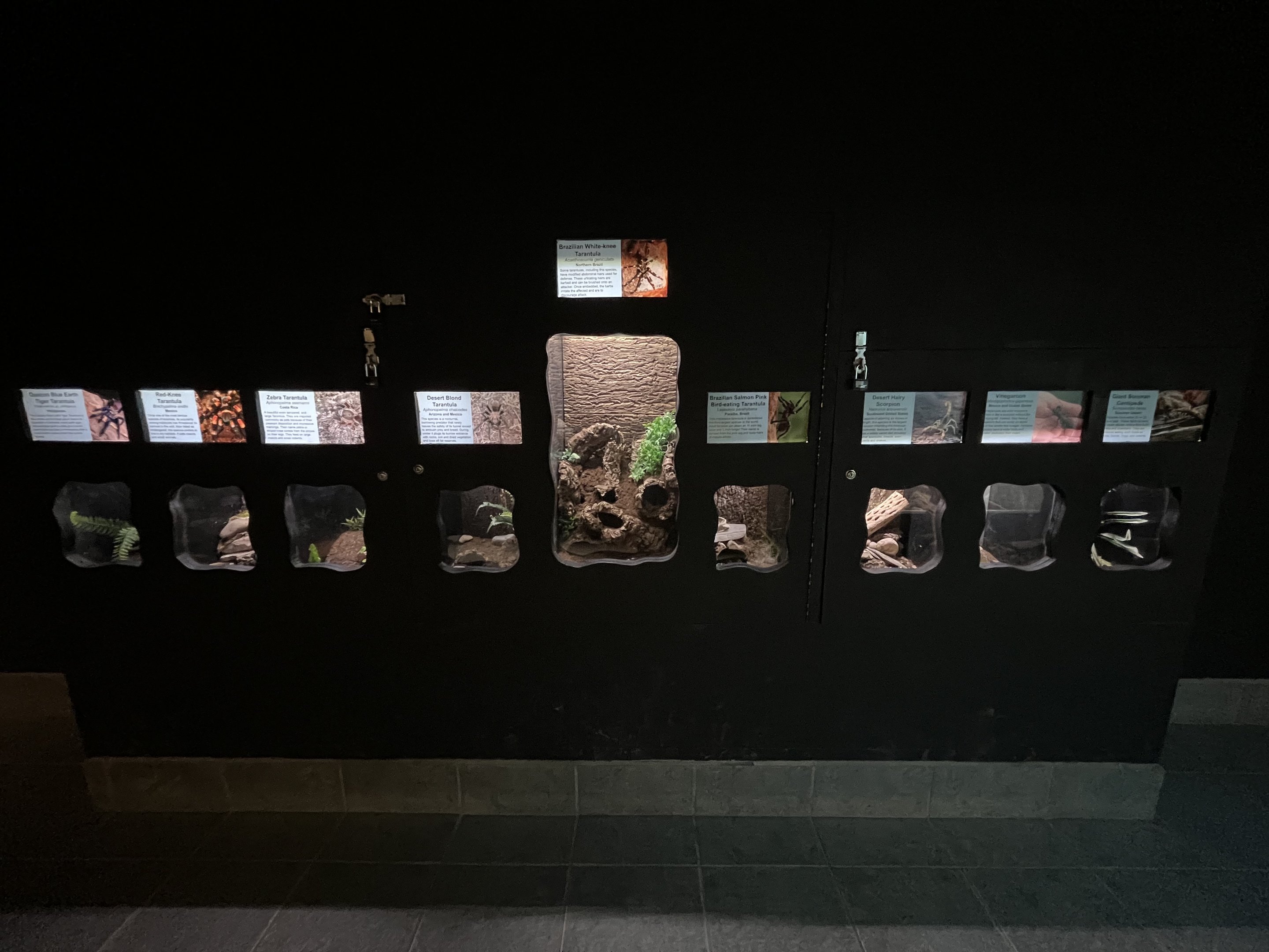 Reptile House - 53 exhibits