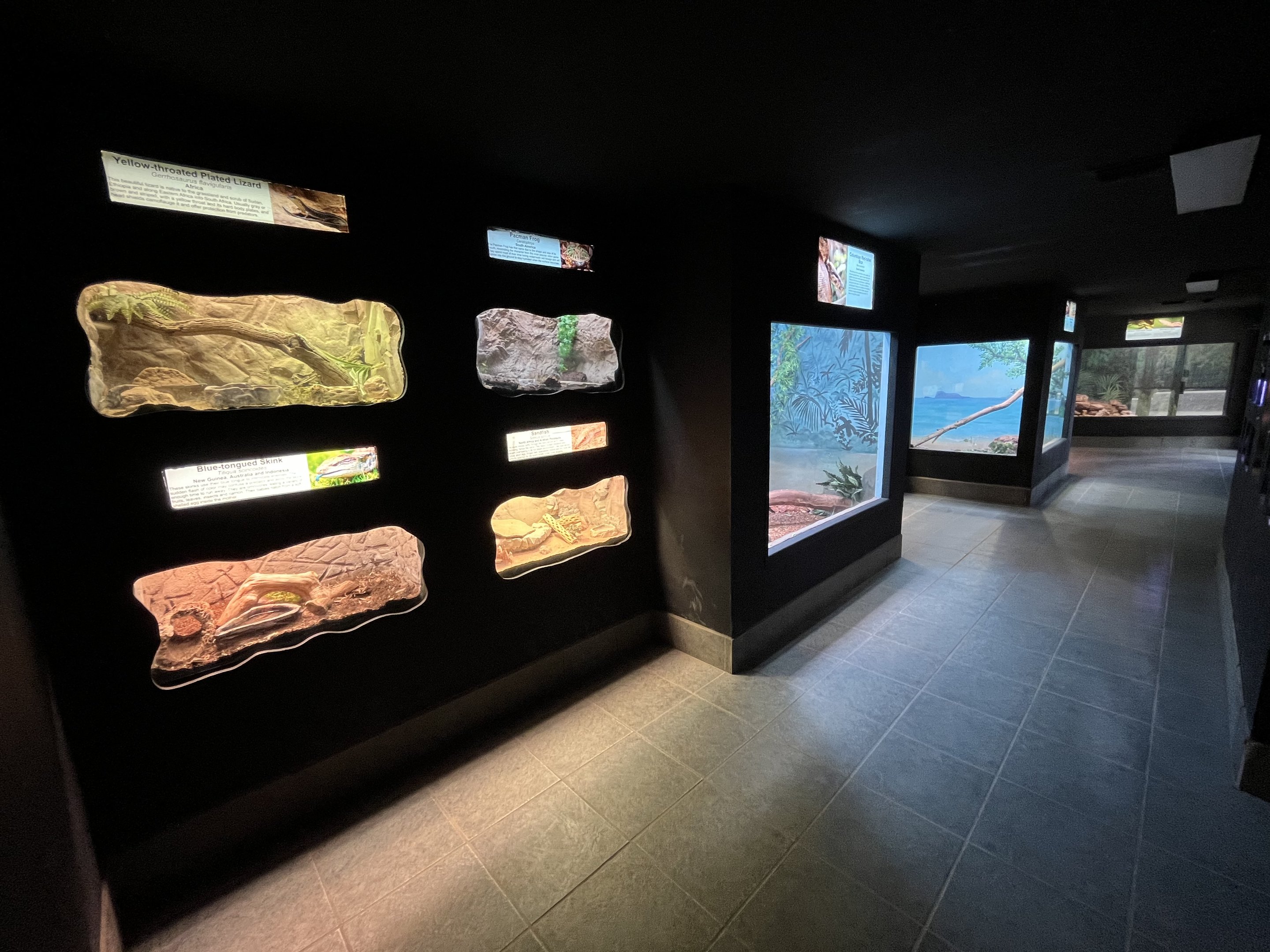 Reptile House - 53 exhibits