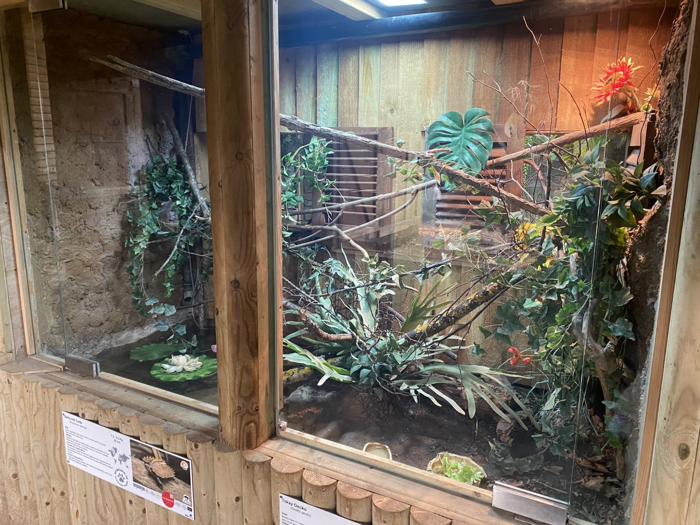 Reptile House - Adjacent exhibits 030924