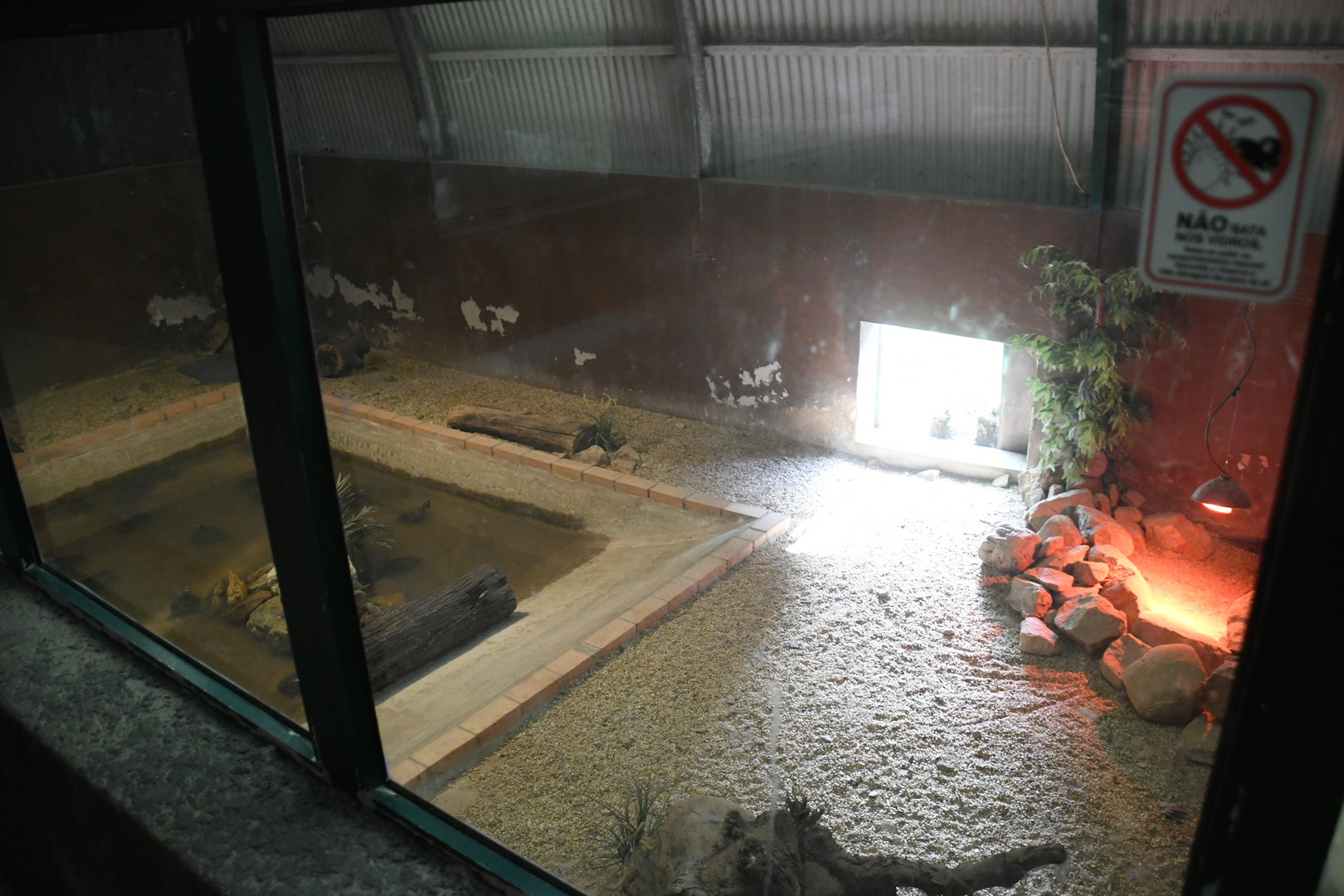Reptile House (African Dwarf Crocodiles exhibit)