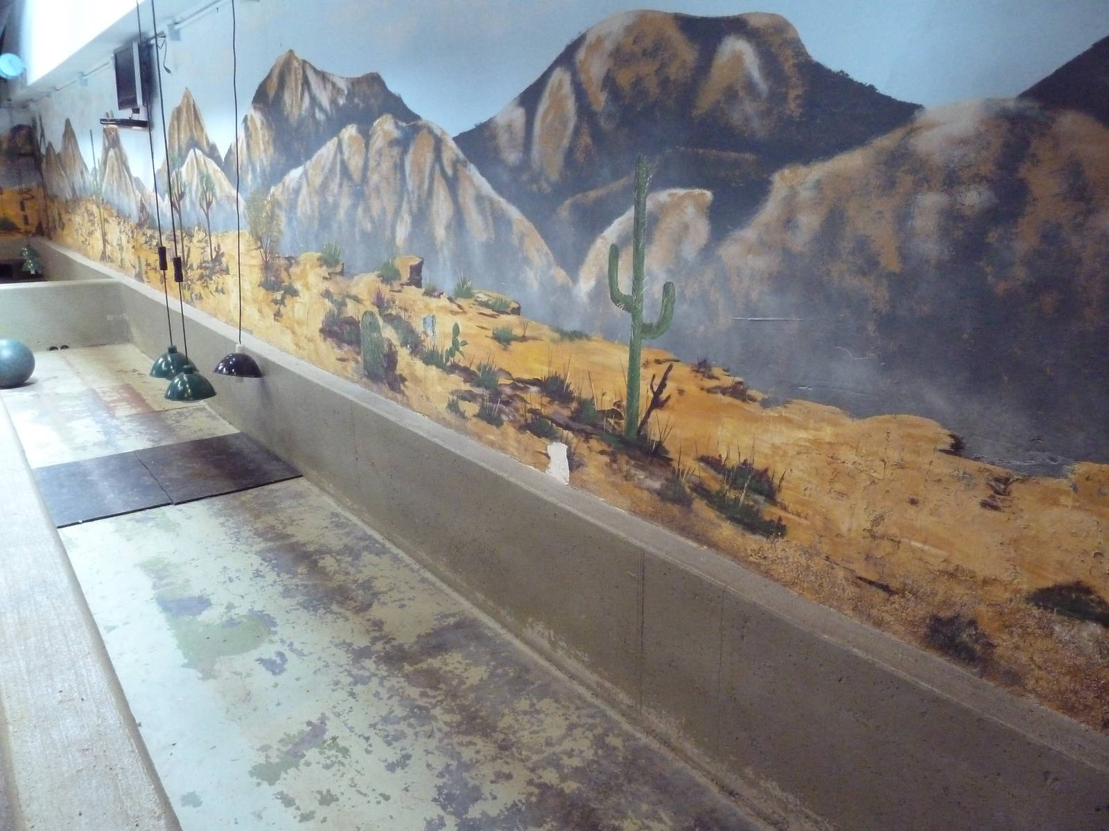 Reptile House - African Spurred Tortoise Indoor Exhibit