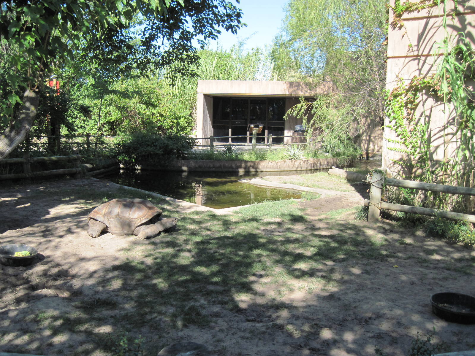 Reptile House-Aldabra Giant Tortoise Exhibit