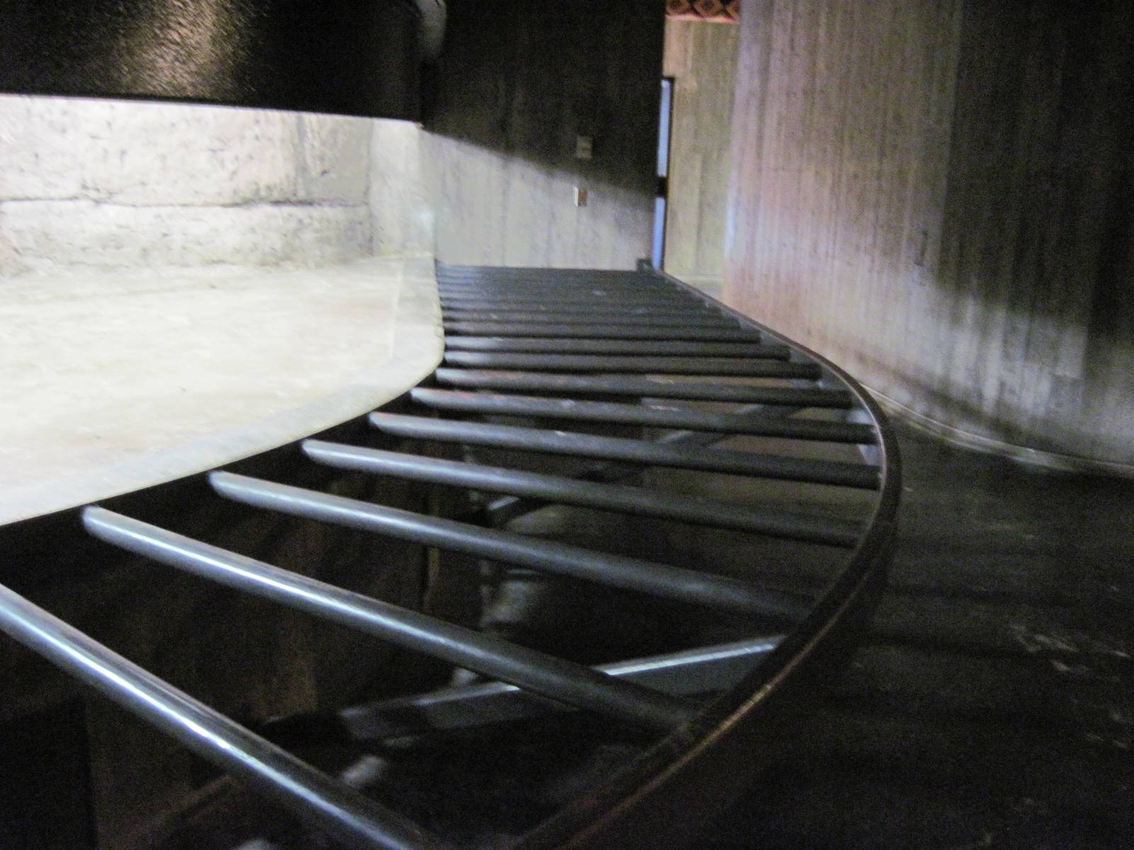 Reptile House-Aldabra Giant Tortoise