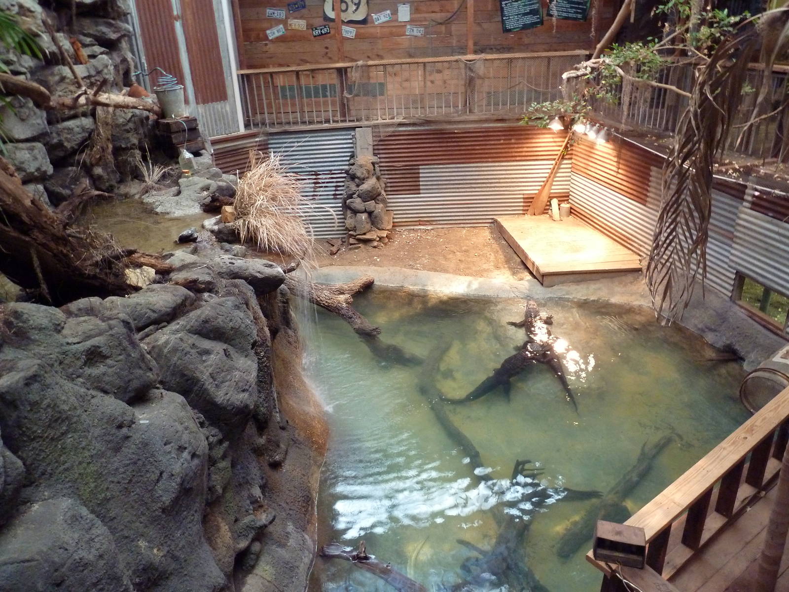 Reptile House - Alligator Exhibit