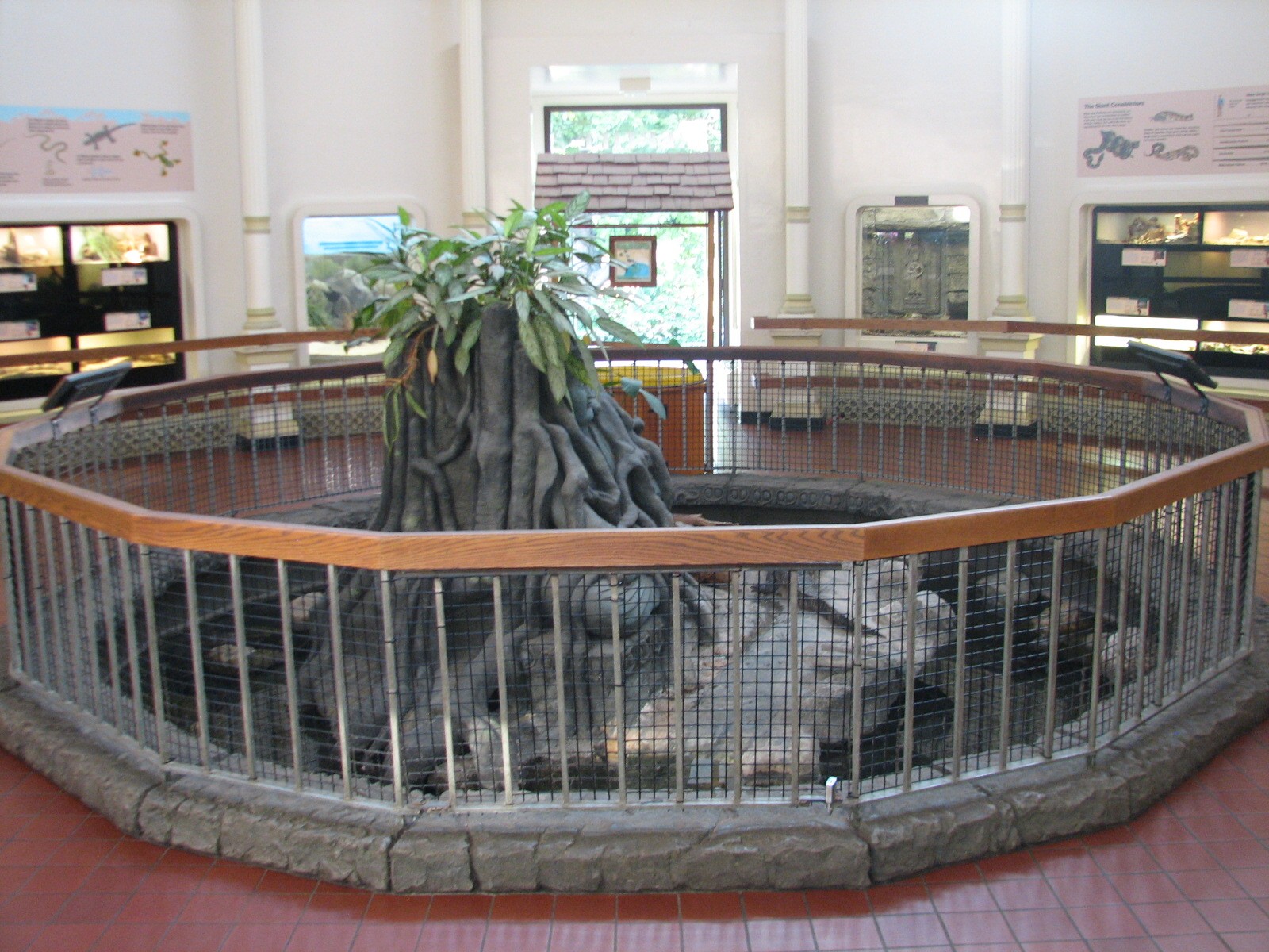 Reptile House - Alligator Exhibit