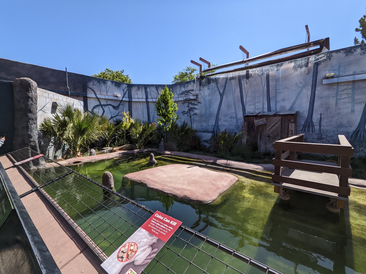 Reptile house - alligators