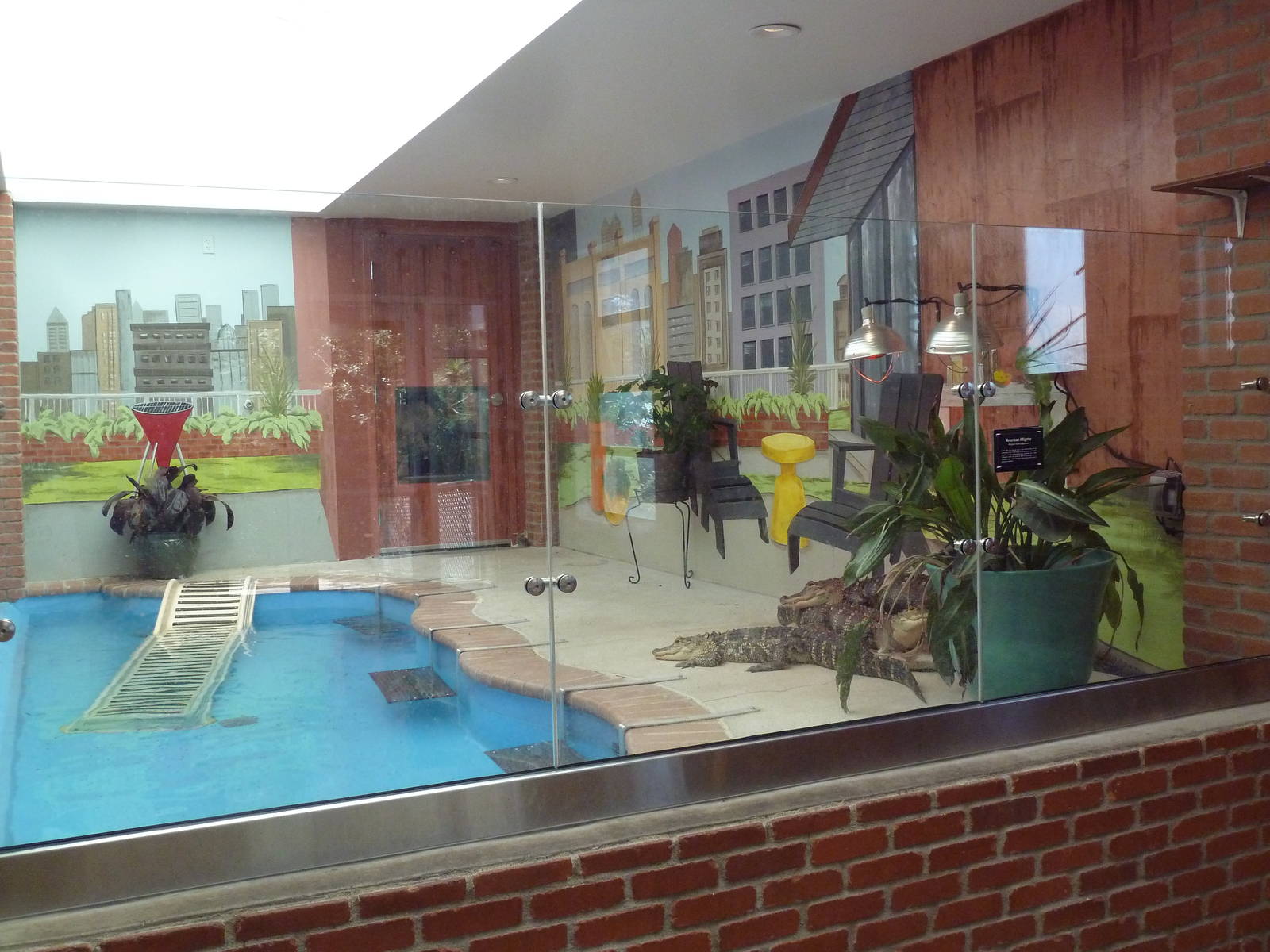 Reptile House - American Alligator Exhibit