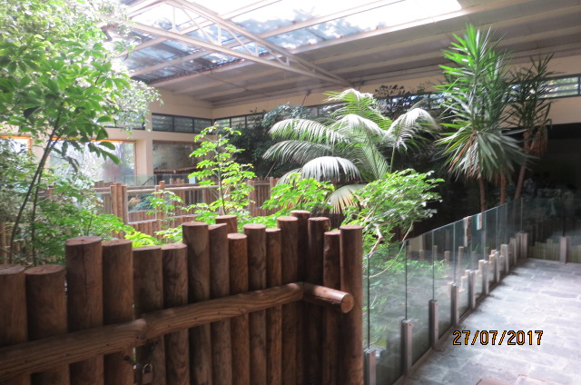 Reptile House - American Alligator Exhibit