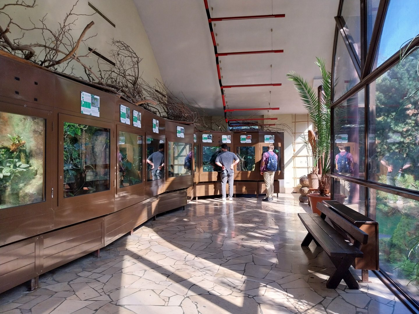 Reptile house - Amphibian second floor