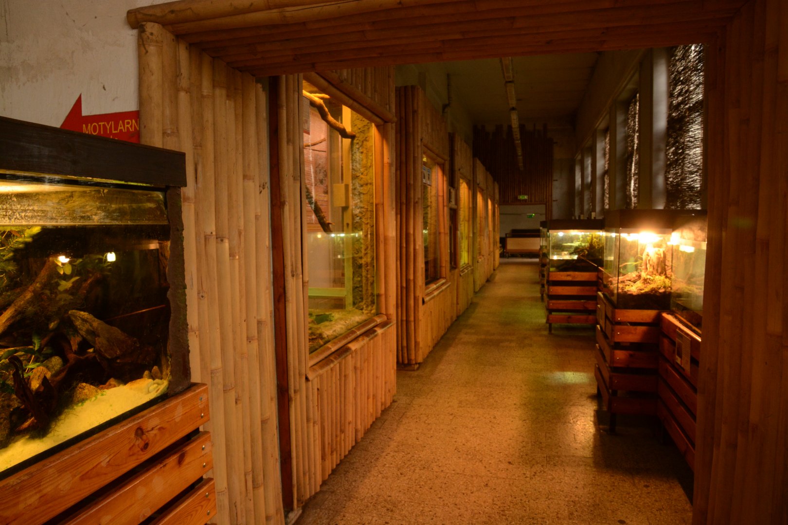 Reptile house - and more tanks