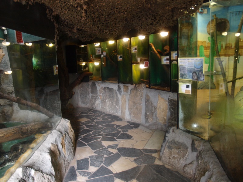 Reptile House (April 19th, 2015)