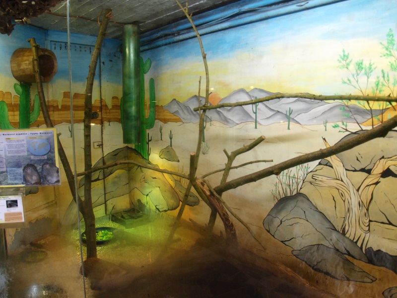 Reptile House (April 19th, 2015)