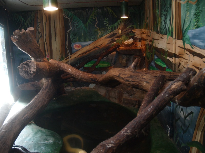 Reptile House (April 19th, 2015)