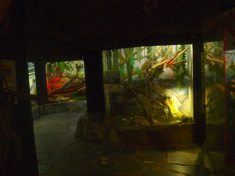 Reptile House (April 19th, 2015)