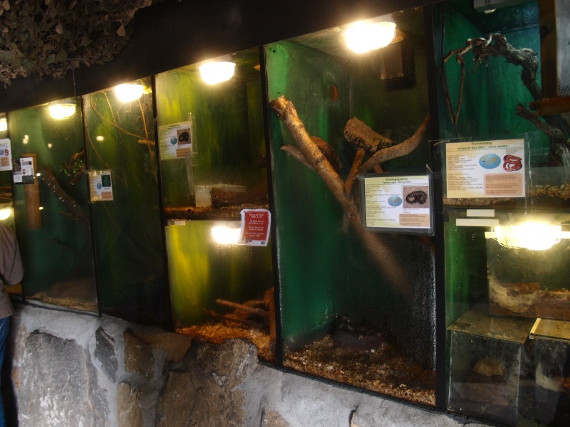 Reptile House (April 19th, 2015)