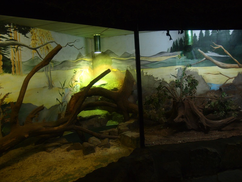 Reptile House (April 19th, 2015)