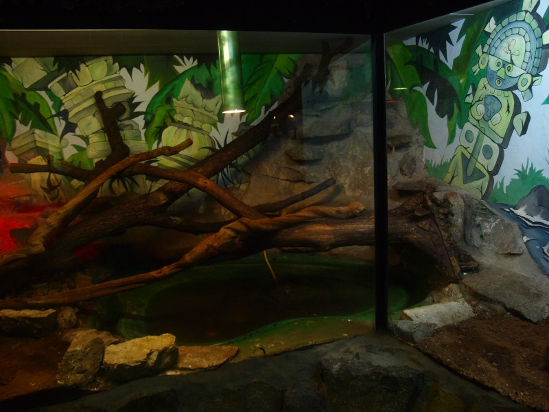 Reptile House (April 19th, 2015)