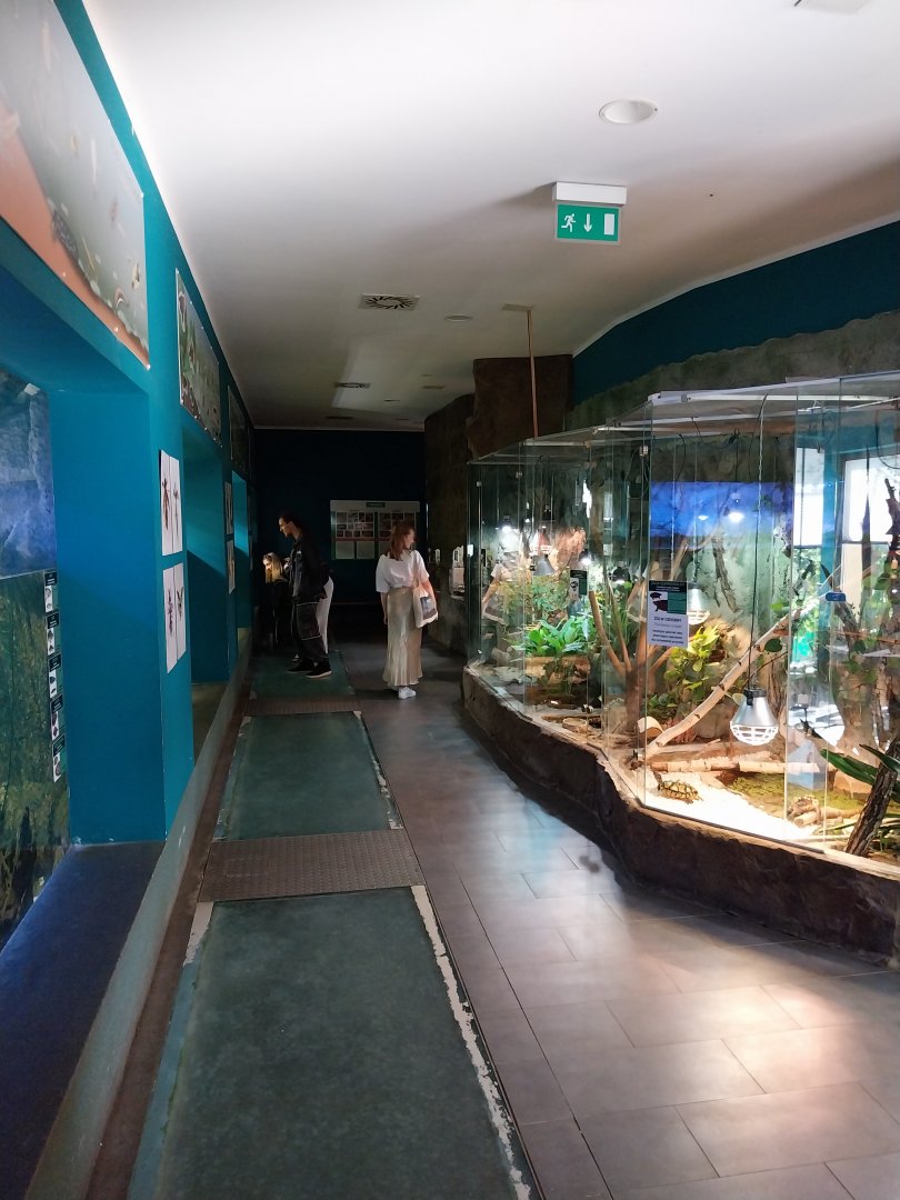 Reptile House - Aquaria, frogs and snakes
