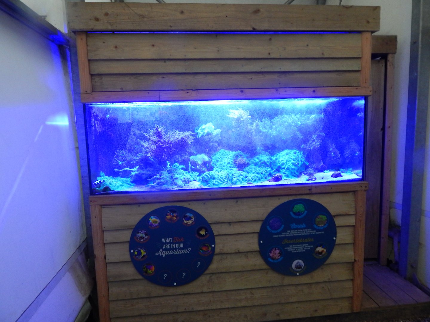 Reptile House - Aquarium display 130925