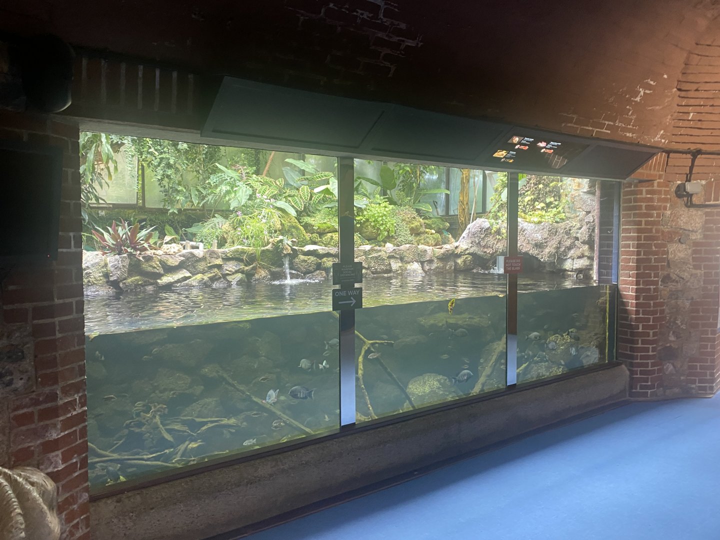Reptile House - Aquarium exhibit 190622