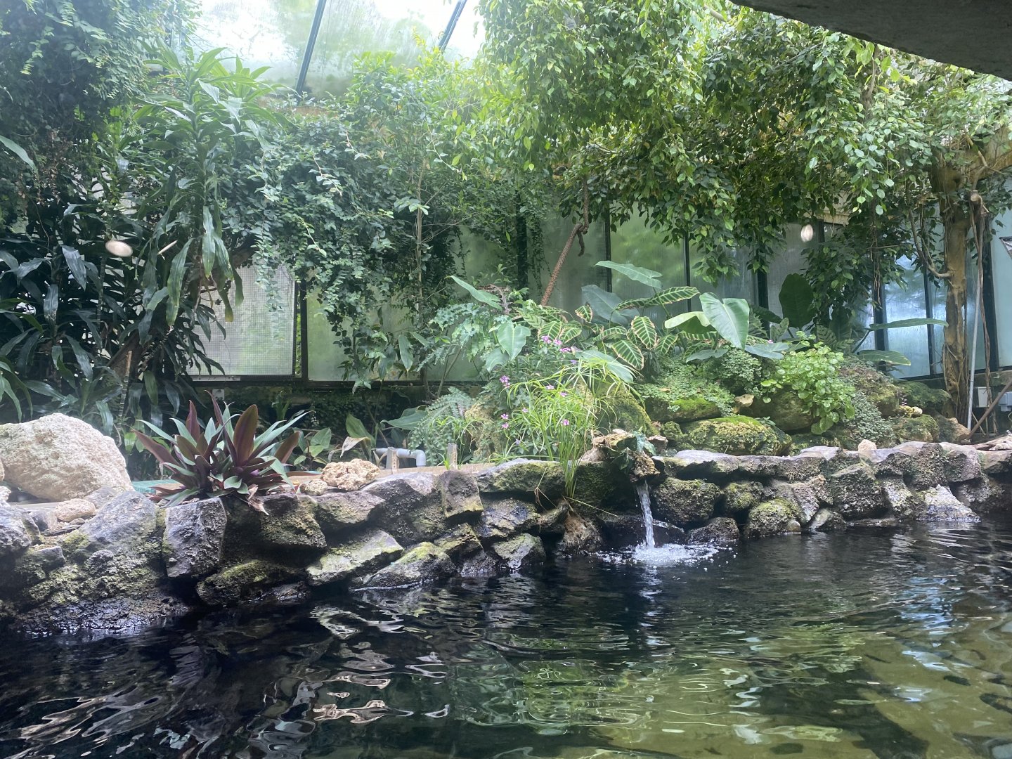 Reptile House - Aquarium exhibit 190622