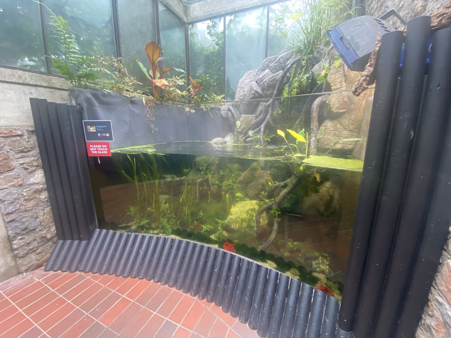 Reptile House - Aquarium exhibit 190622