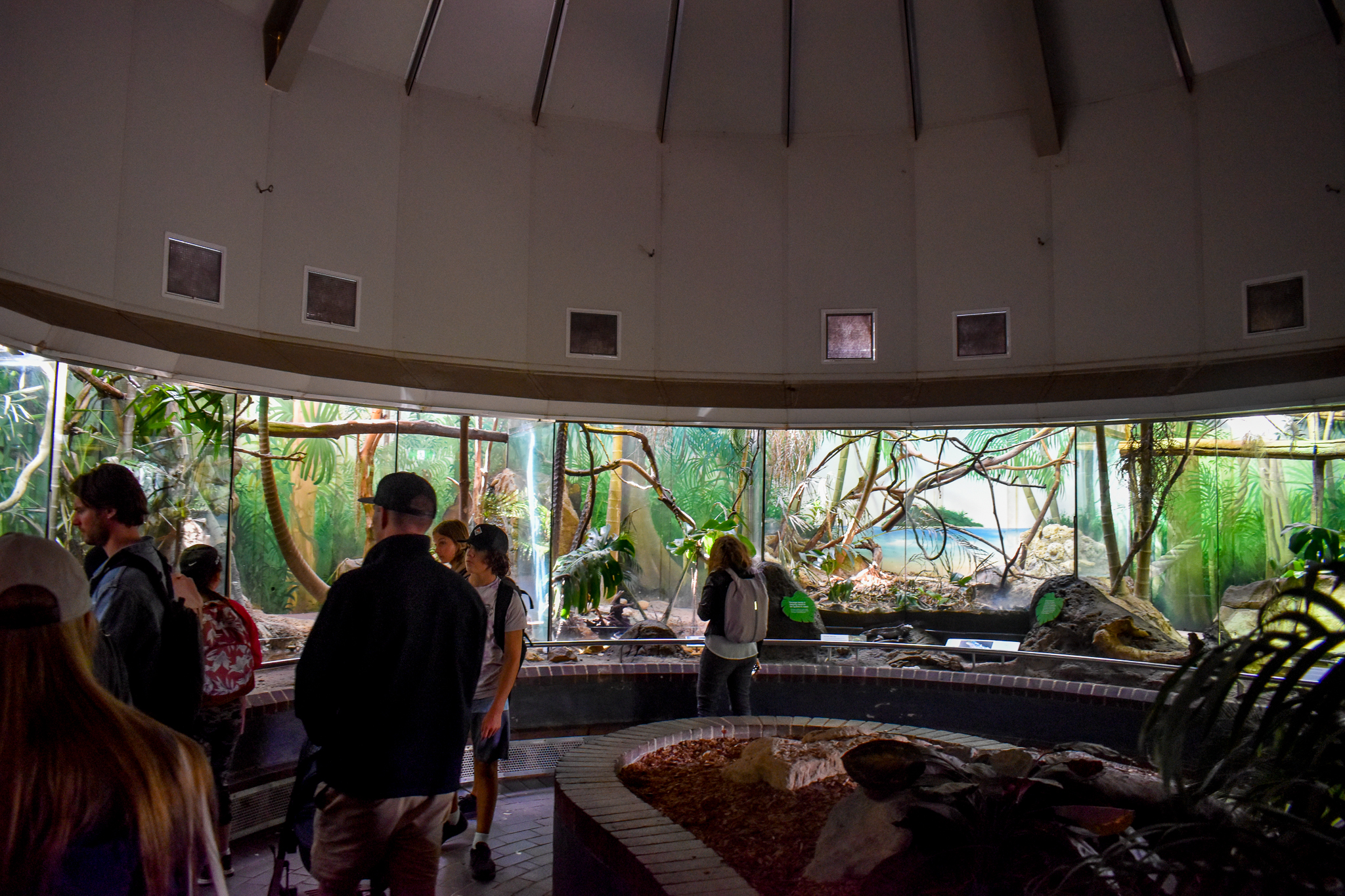 Reptile House - Arboreal Reptile Exhibits