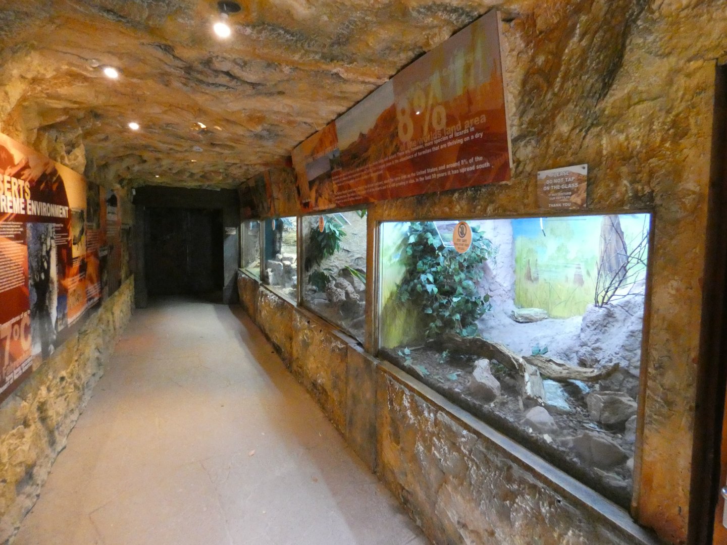 Reptile house, Arid zone