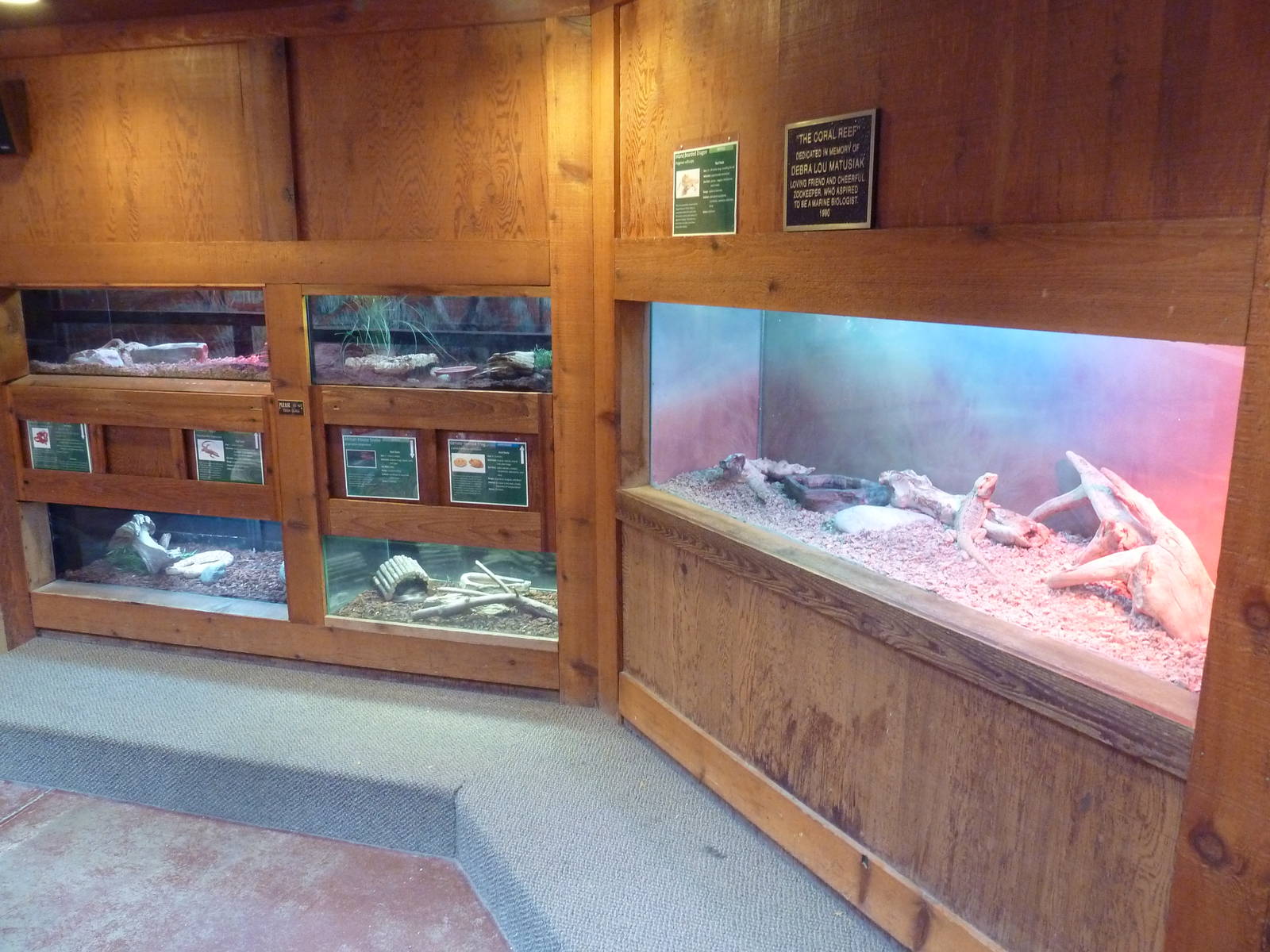 Reptile House - Assorted Terrariums