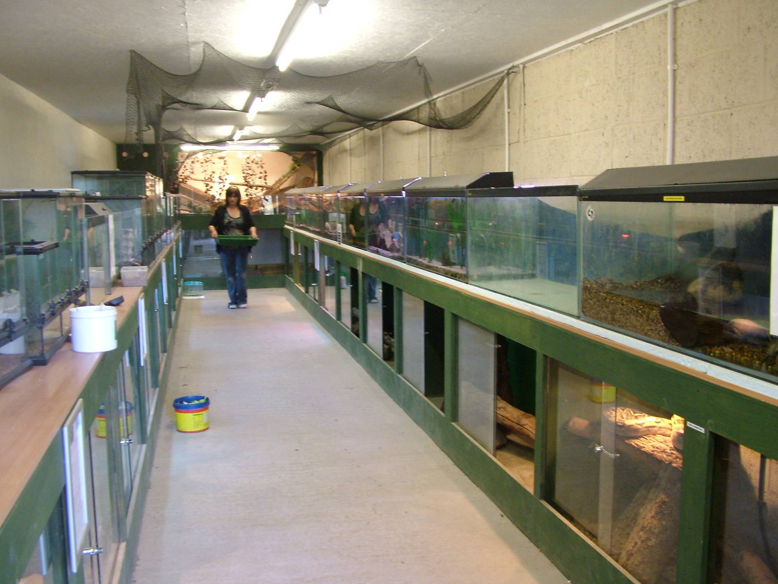 Reptile house at Fife Animal Park 2008