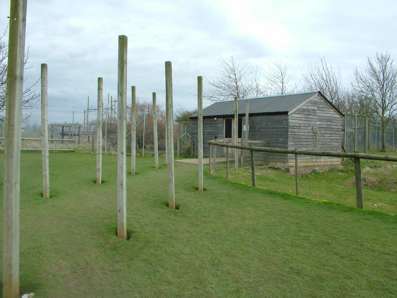 Reptile House at Hamerton 05/04/10