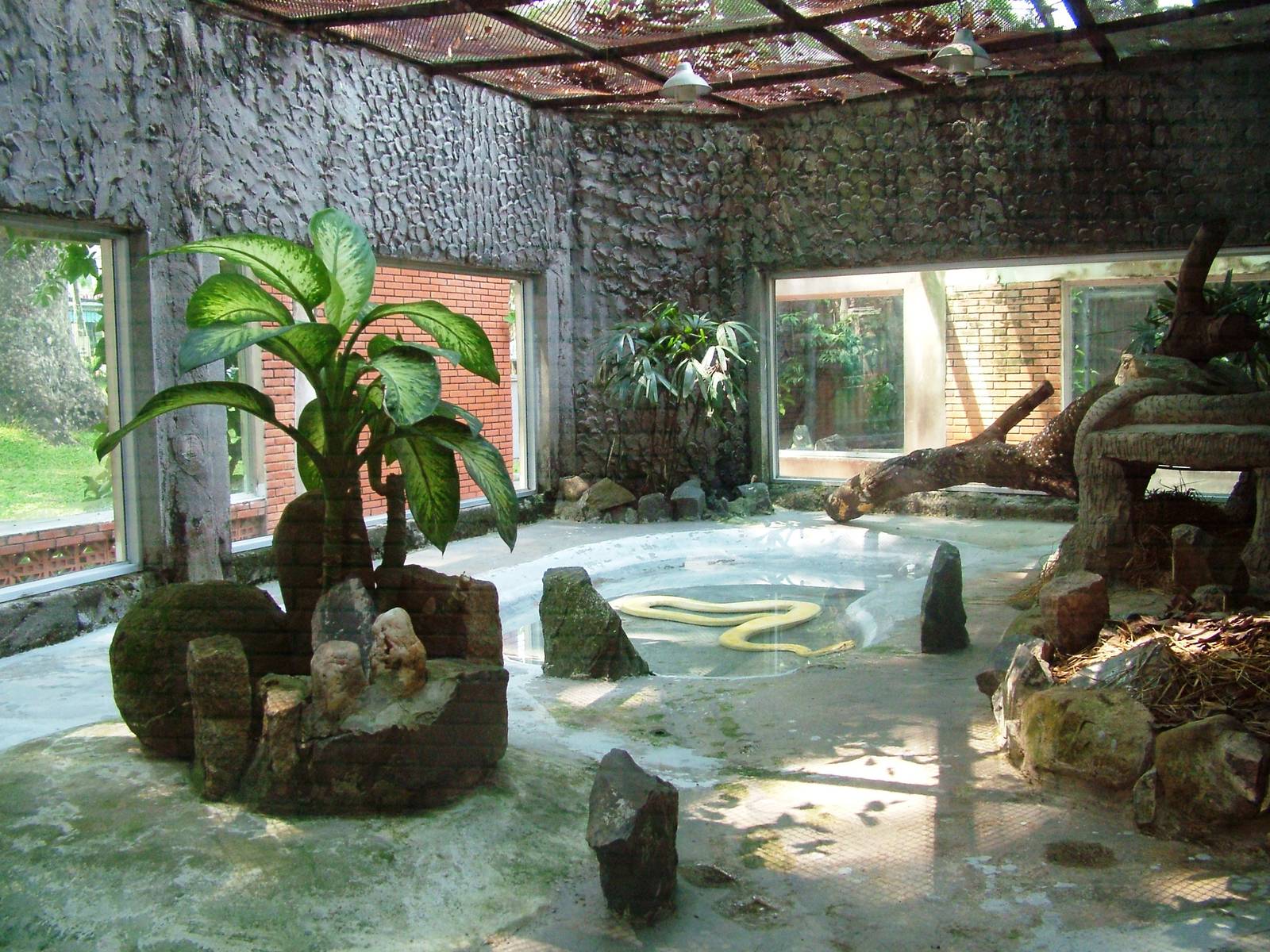 Reptile House at Saigon Zoo, 16/03/12