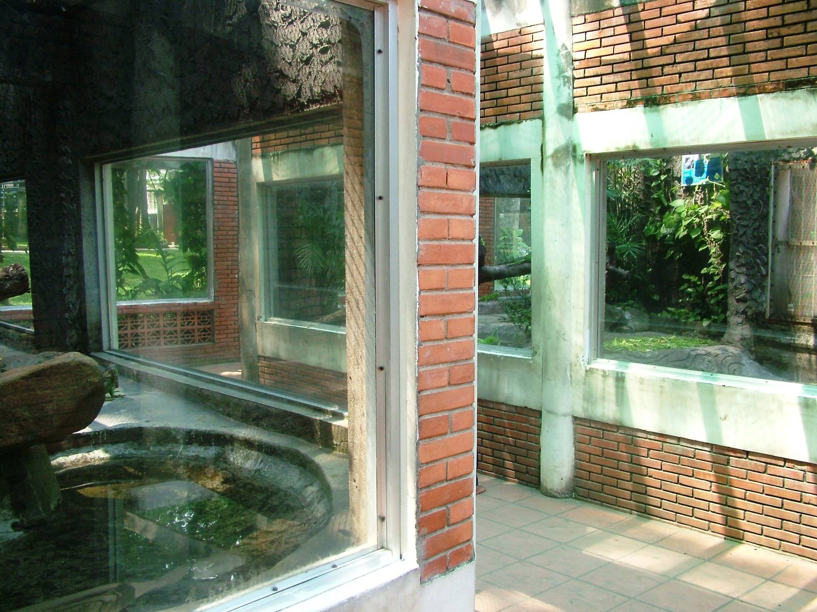 Reptile House at Saigon Zoo, 16/03/12