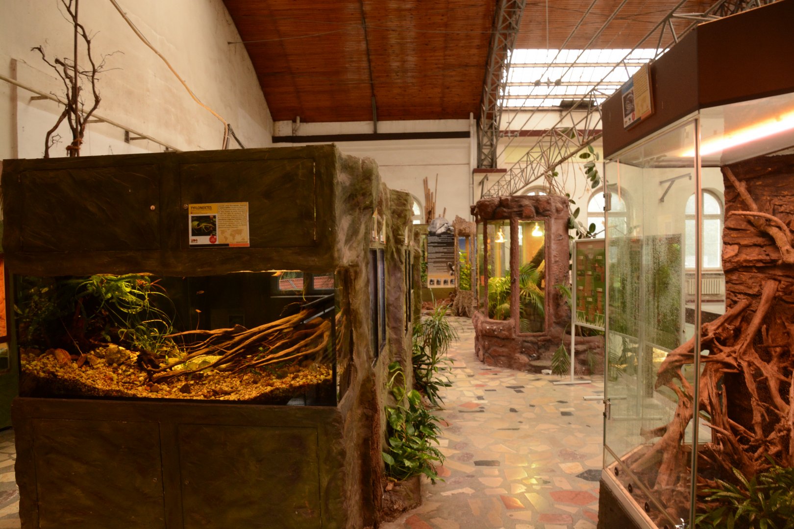 Reptile house - balcony