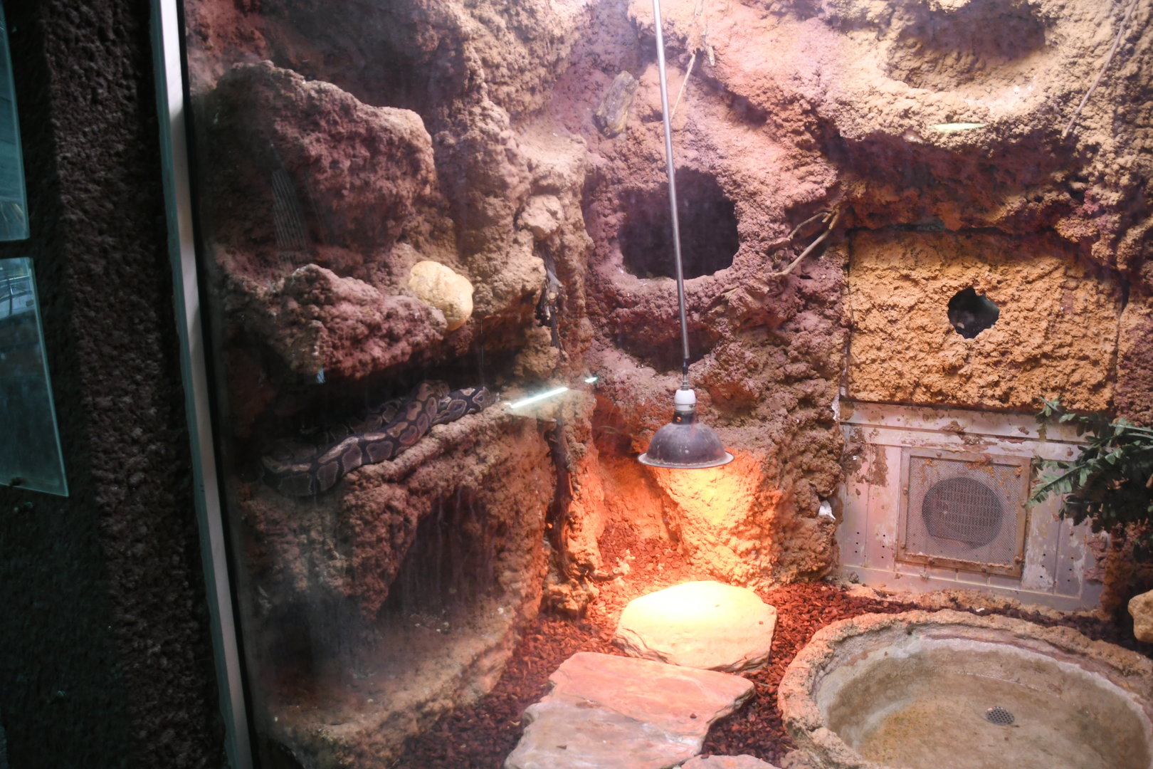 Reptile House (Ball Python exhibit)
