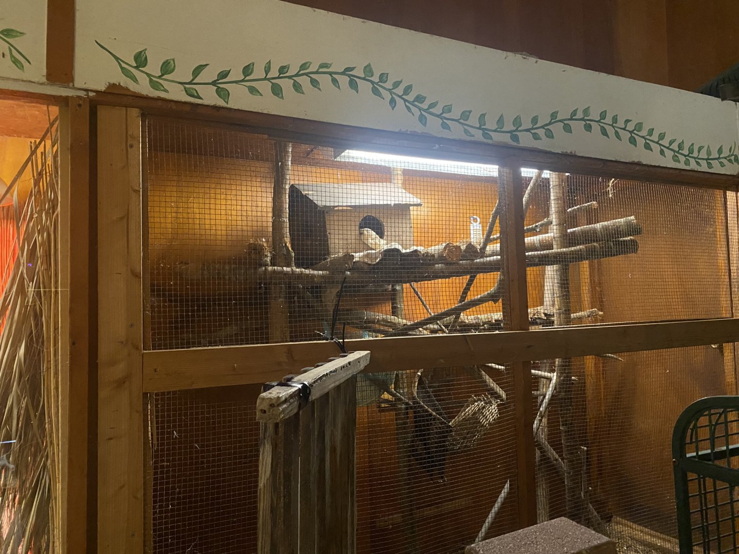 Reptile House - Bare-Tailed Woolly Opossum Exhibit