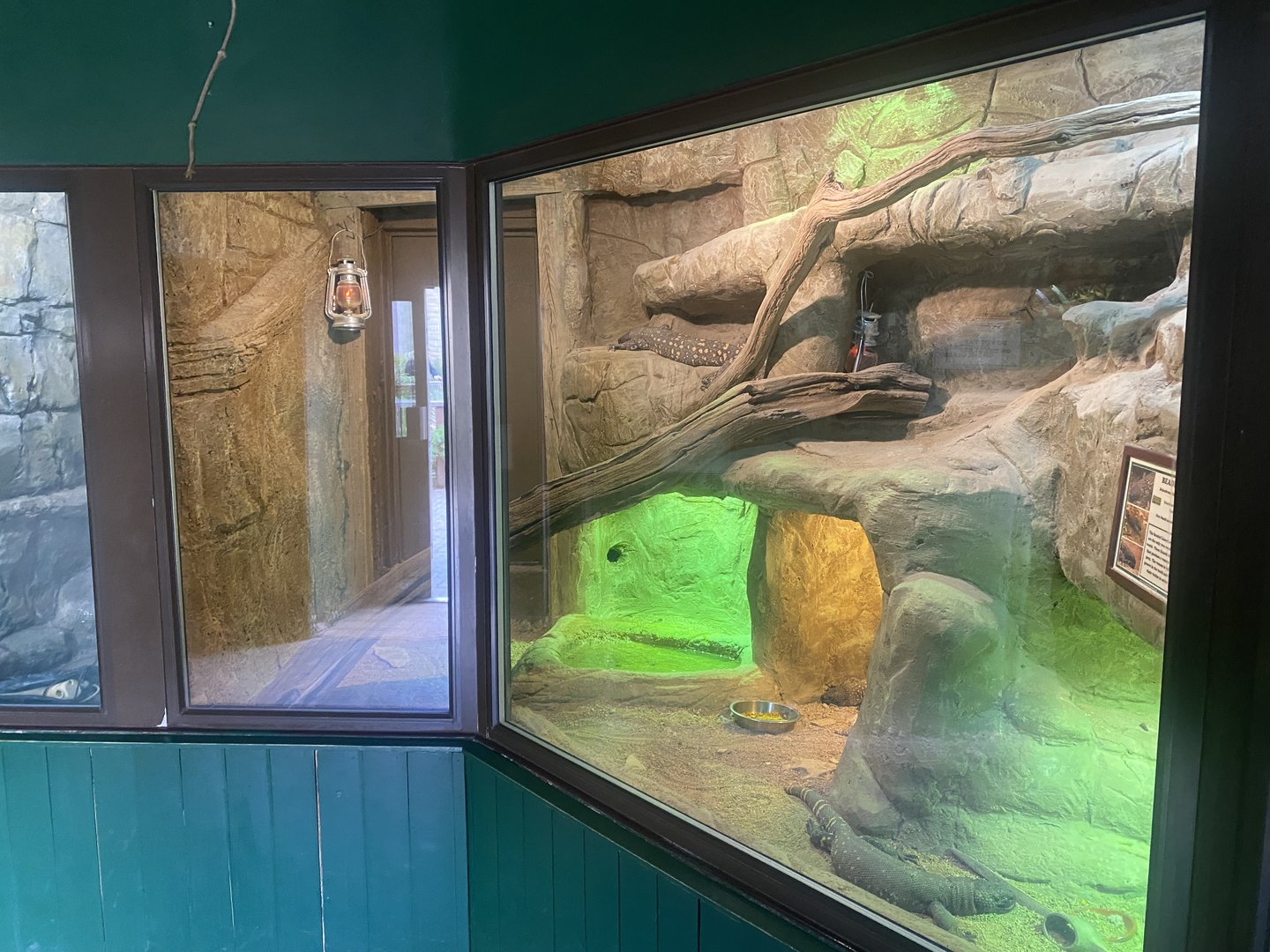 Reptile House - Beaded lizard exhibit 280423