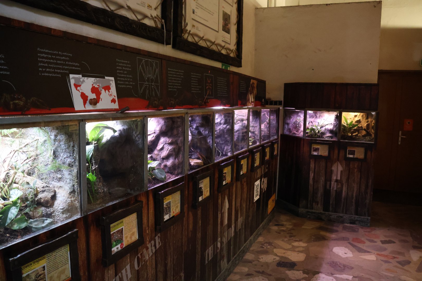 Reptile House - Bird-eater & Tarantula section